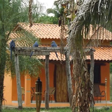 Pousada Reserva Ecologica Jaguar Poconé Esterno foto